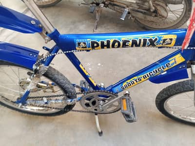 shapater chimta cycle