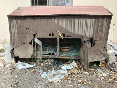 Heavy-duty iron cage available for sale in excellent condition.