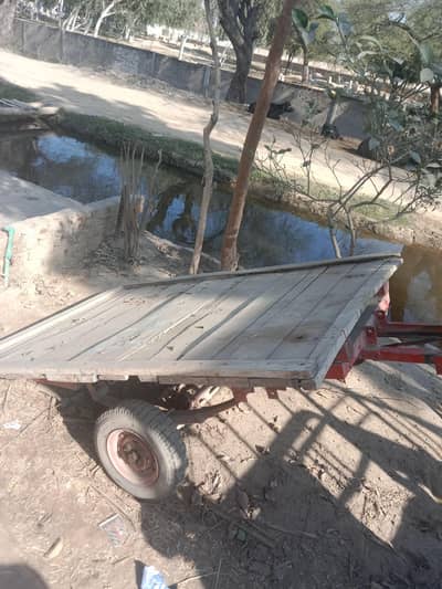 03052526348 phatta  for sale adda Yousaf wala