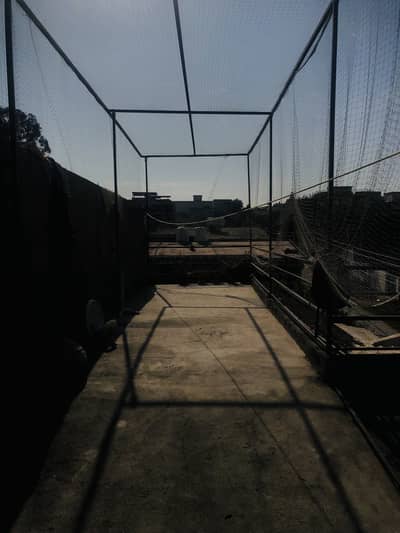 Tape ball and Hard ball Practice area available