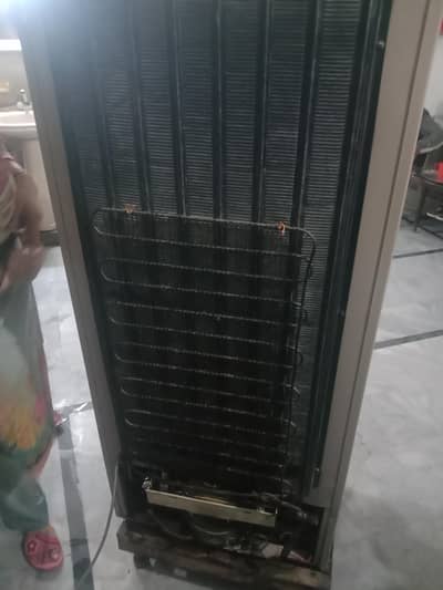 frij Dawlance all ok