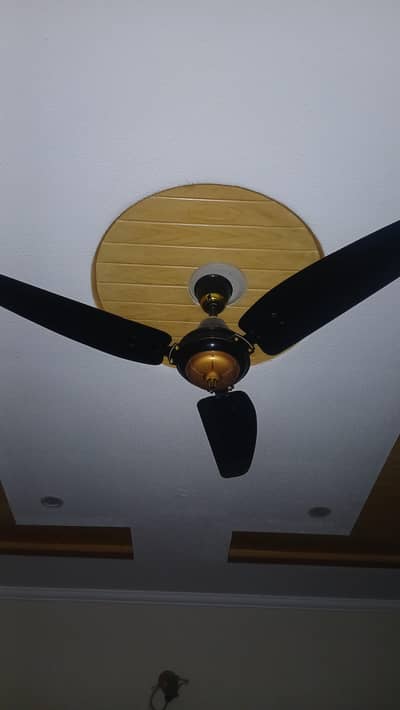 Royal Fan Ceiling Fan