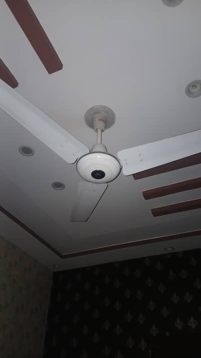 Parwaz Fan 56 Inch
