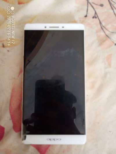 contact number WhatsApp number 03193091110