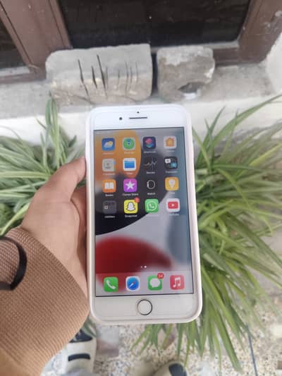 iphone 7 plus pta approved for sale