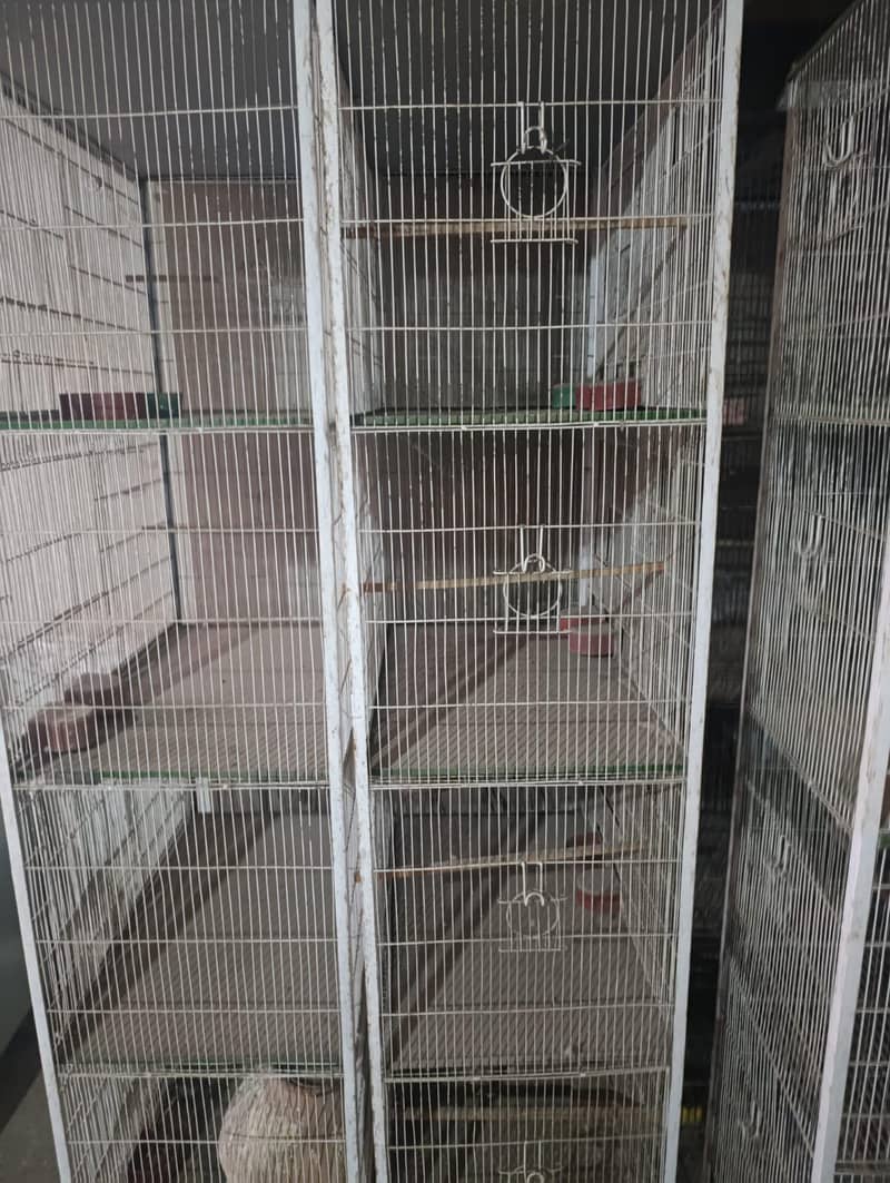 cages 1