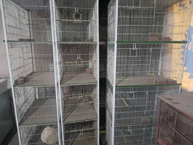 cages 3