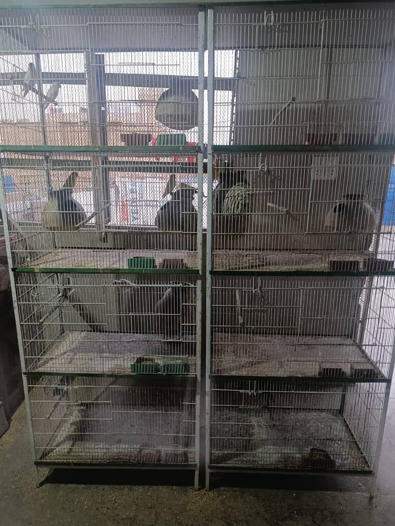 cages 5