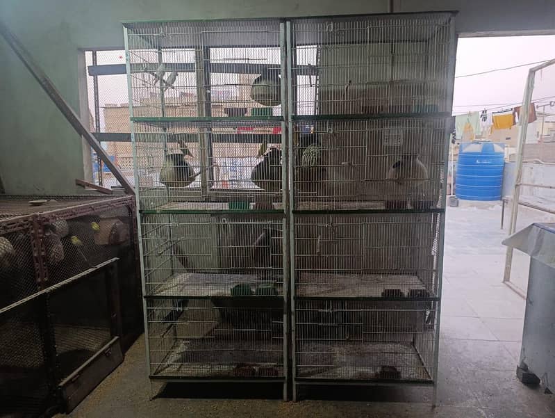 cages 6