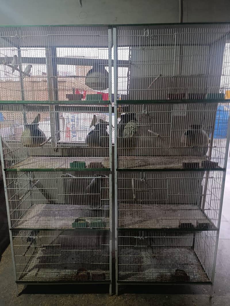 cages 8