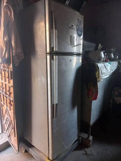 Dowland frij surmai colour full  size