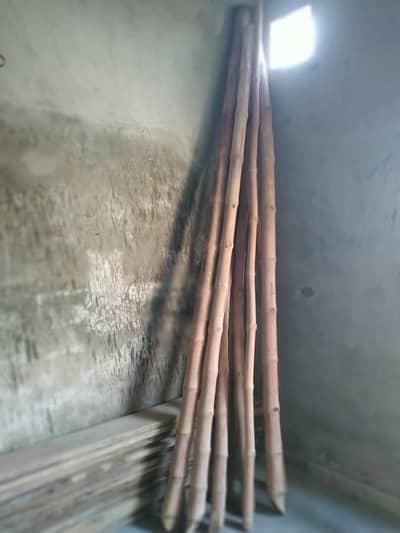 Phatay Bans New Condition Or Drum For sale.