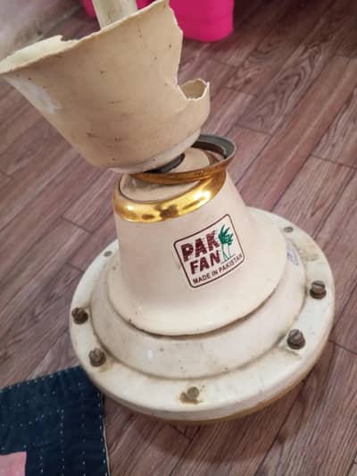 pak fan