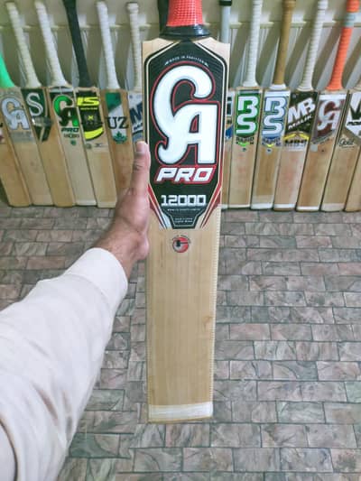 CA Pro 12000