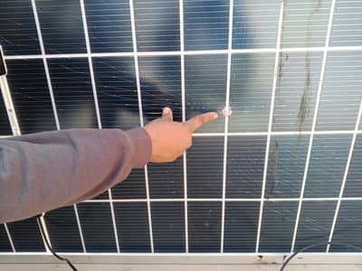 broken longi himo 10