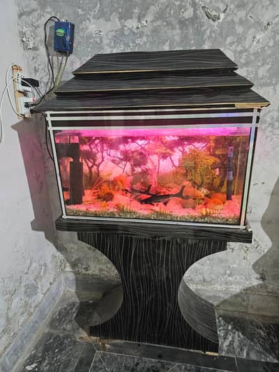 Aquarium with all accessories and fishes