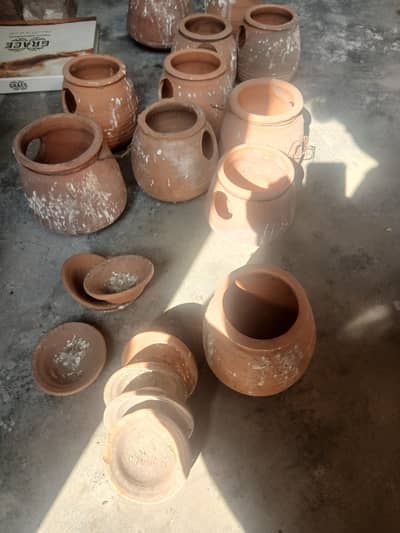 birds breeding matki