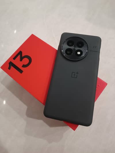 OnePlus 13 | 12GB/256GB