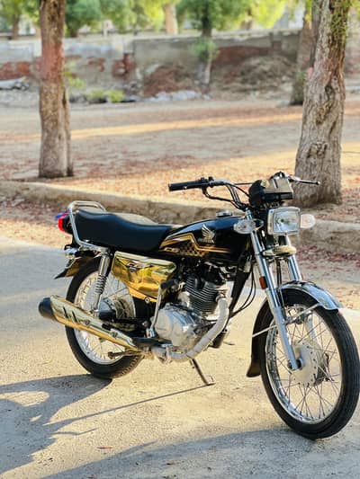 GOLDEN EDITION SELF START