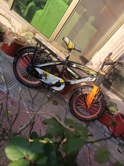 best quality cycle in this budget.