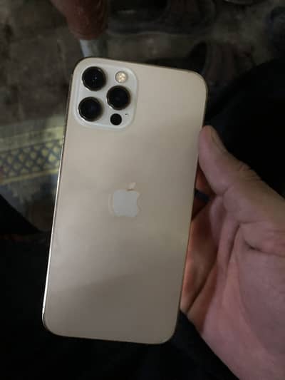 i phone 12 pro 256gb pta