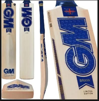 GM Hard ball cricket bat