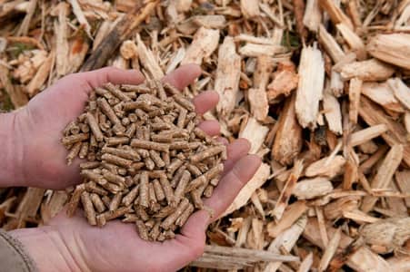 Biomass wood pallet