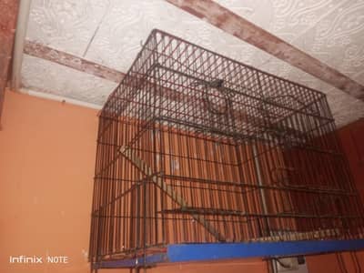 parrot 3 folding cages available