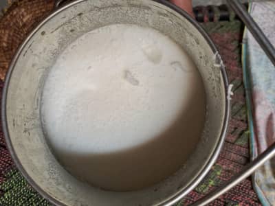 DESI GHEE PURE VILLAGE KI BHANS KA