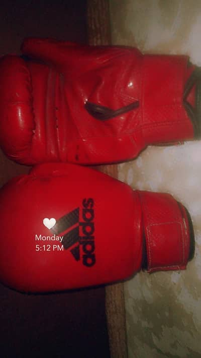 boxing glubs