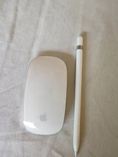 Apple Magic Mouse / Pencil