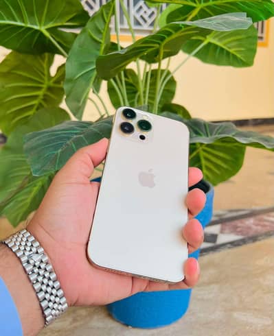 Iphone 13 pro max Golden