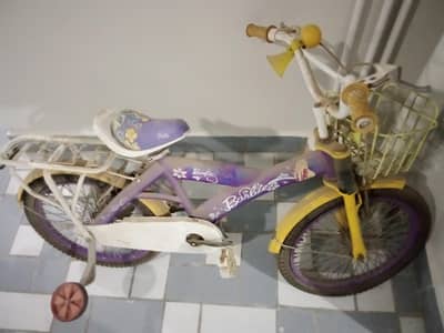 Barbie Doll Cycle