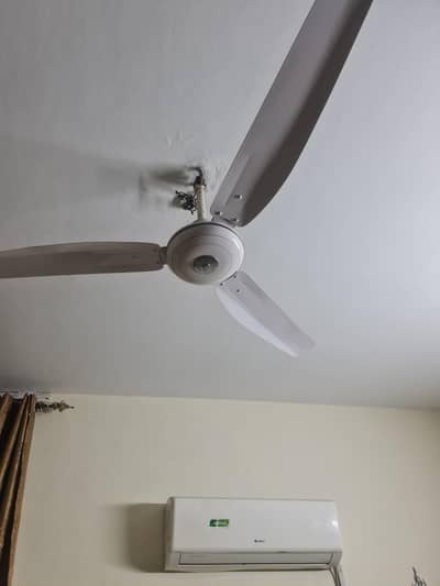 GFC ceiling fan
