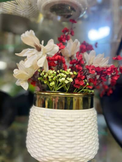 Decoration flowers pots