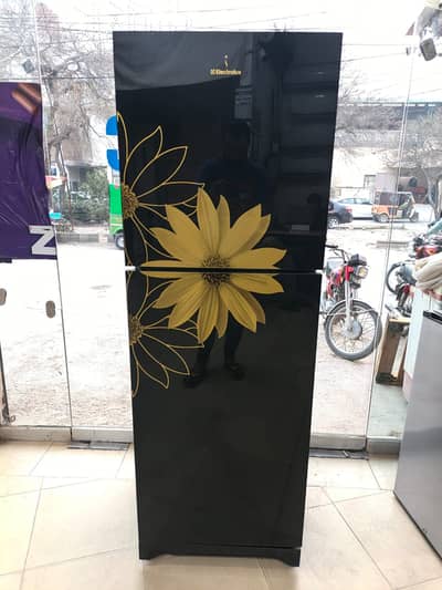 Electrolux Fridge GD large size Genuine (0306/4462/443)