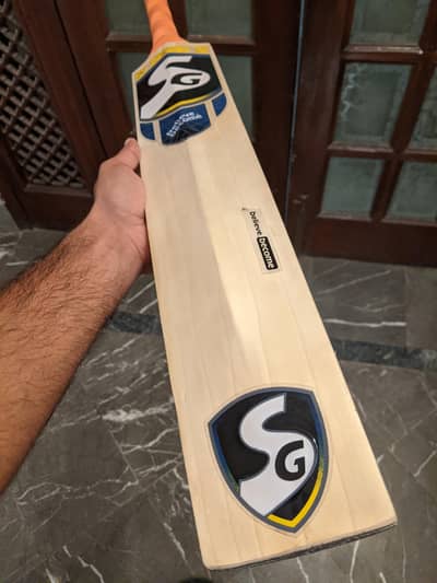 CA factory bat English willow