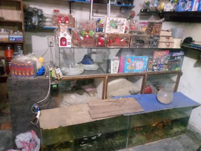 shop glass display counter