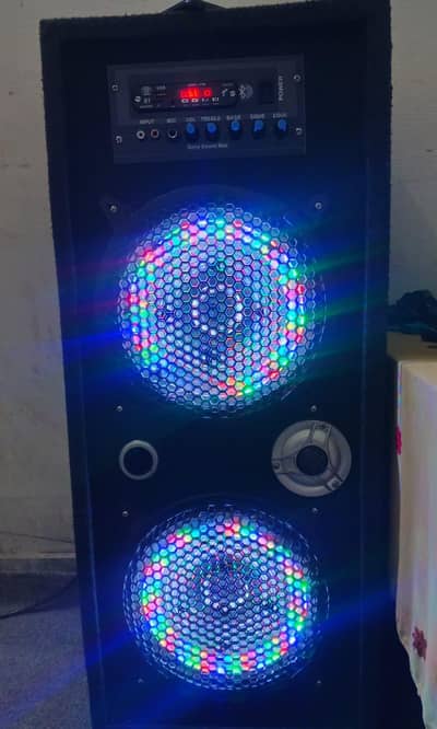 China Sony sound Max 12 inch speaker