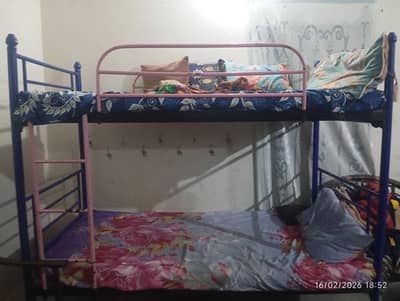 bunk bed