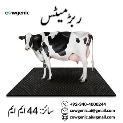 Durable Animal Rubber Mats – Comfortable aur Anti-Slip
