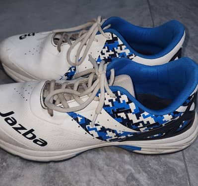 Jazbaa Cricket Grippers