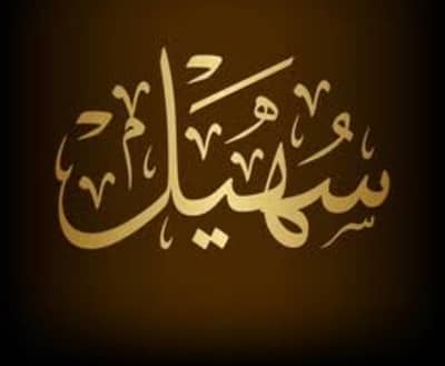 Need female Quran tutor for home