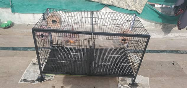 bird cage