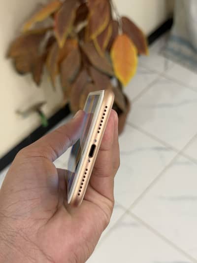Iphone 8 plus PTA Approved Rose Gold