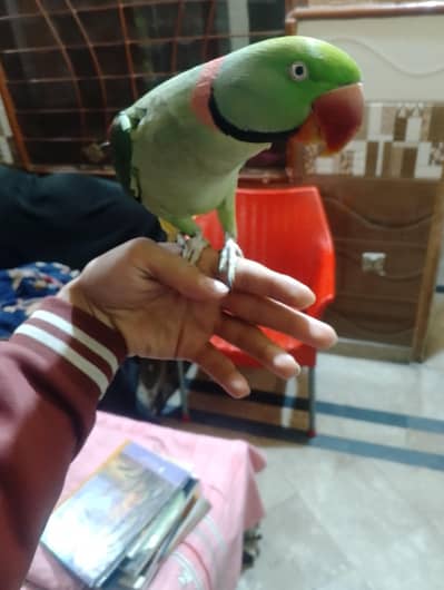 tame talking on mood 03288104963