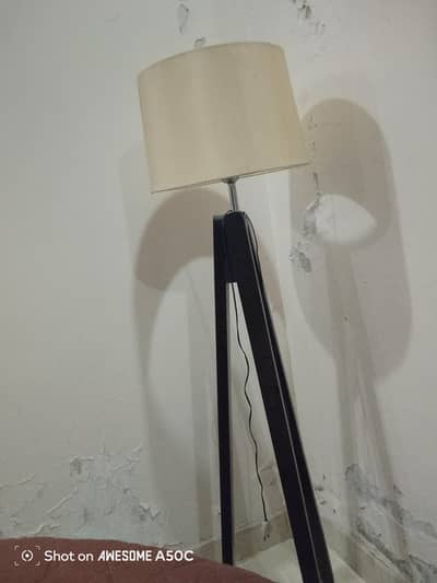 Pair of lamp