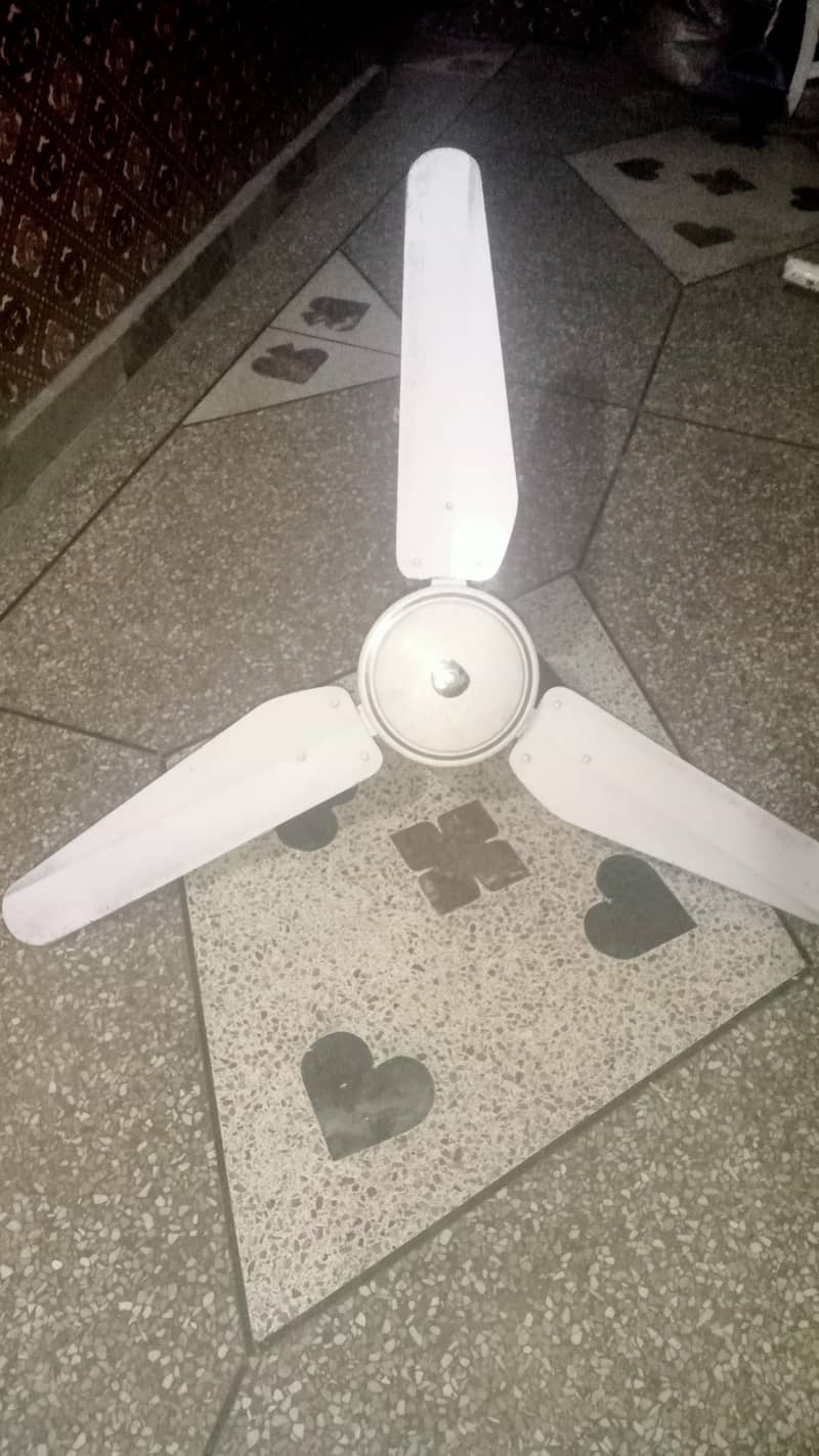 ceiling fans 1
