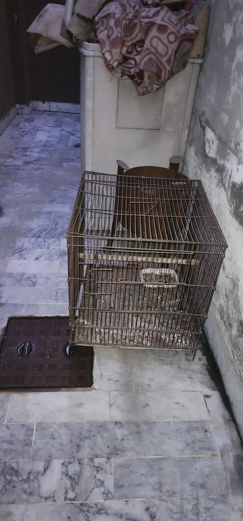 cages — photo 2