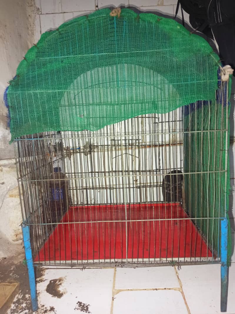 Cage birts 0